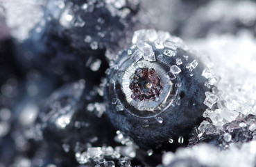 Blueberries with sugar