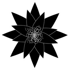 one flower natural floral decoration ornament vector illustration