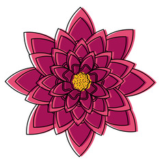 one flower natural floral decoration ornament vector illustration