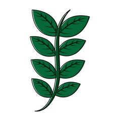 green floral decorative branch leaves plant icon pictogram vector illustration