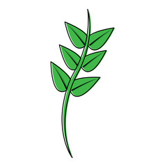 green floral decorative branch leaves plant icon pictogram vector illustration