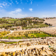 Obraz premium Mount of Olives and the old Jewish cemetery in Jerusalem, Israel. Gethsemane and Church of Mary Magdalene foreground.