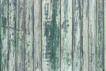 Old wooden background with stained green paint