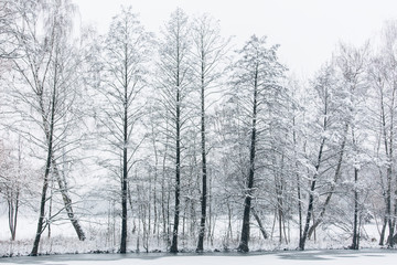 Winter season cycling. Black bicycle on the snow. Sport at any time of year concept.
