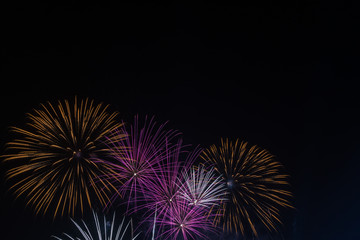Obraz premium Brightly colorful fireworks in the night sky. New Year celebration fireworks