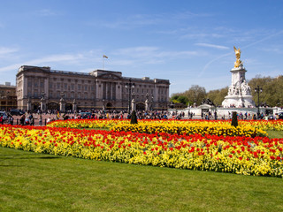 Buckingham palace and Victoria Memorial Statue, London, England