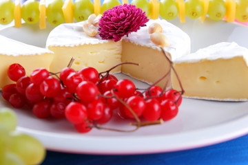 Cheese with mold, camembert on a white plate, green grapes, honey, red berries of a viburnum, peanuts, blue pink background, pop art, retro style, healthy food