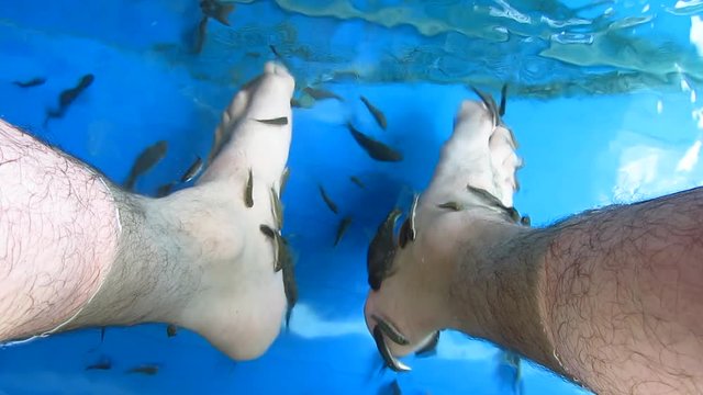 Feet in a Fish Spa