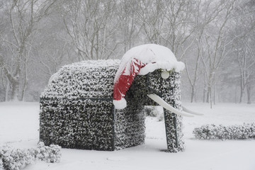 Weihnachten Schnee Elefant