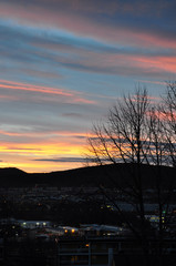 Obraz premium Colorful clouds and tree at sunset over Oslo.