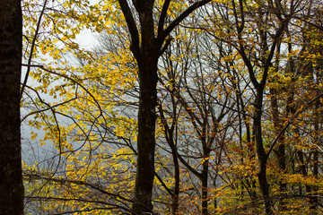 Fototapeta premium Dolomiti