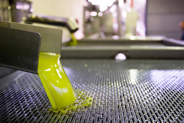 Fresh virgin olive oil pouring into tank at a cold-press factory after the olive harvesting, Crete,...