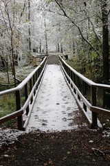 Bridge Over Mission River in Winter
