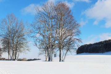 Wintertraum im bayrischen Voralpenland, Allgäu