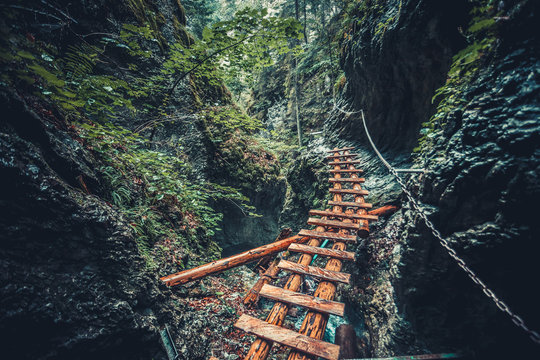 Abandoned old wooden bridge with backup metal chain in deep wild lush jungle forest. Road to nowhere. Outdoor extreme activities. Wild nature. Artistic retouching. Vintage style.