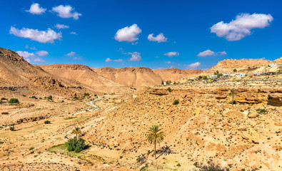 Fototapeta na wymiar Arid landscape near Chenini in South Tunisia