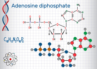 Adenosine diphosphate (ADP) molecule , is an important organic compound in metabolism and is energy transfer in living cells . Sheet of paper in a cage.