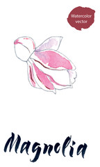 Flower of magnolia, watercolor hand drawn vector illustration