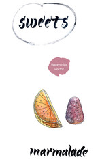 Sweet marmalade, watercolor hand drawn vector illustration