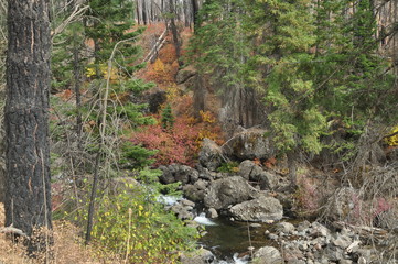 bubbling brook down the hill thru rocks and trees