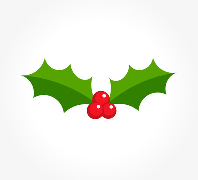 Winter berry holly icon