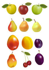 vector icons of tropical fruits