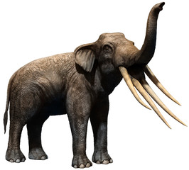 Obraz premium Stegotetrabelodon prehistoric elephant 3D illustration