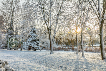 Fototapeta premium First snow in the city park with a sunny walking alley