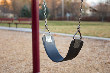 Black park swing