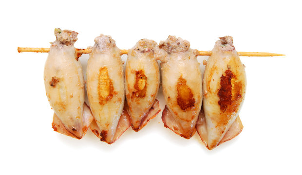 Cuttlefishes wihte meat in white background
