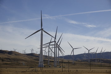 Windmills of California