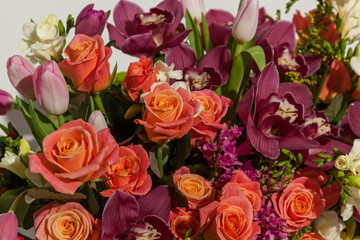 Obraz premium composition of flowers from pink roses, burgundy orchids, red tulips, hyacinth and hrzemtem. Flower Arrangement in a box for a girl of roses, tulips and orchids on a white background