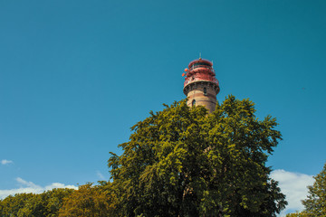 Leuchtturm hinter Baum, Kap Arkona, Rügen, Ostsee