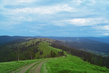 Naklejka premium Beautiful landscape with mountain forest