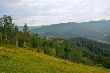 Fototapeta na wymiar Beautiful landscape with mountain forest