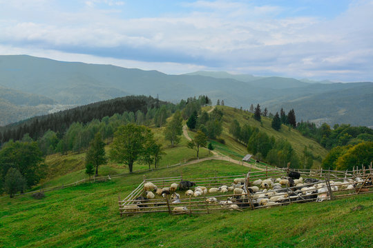 View of sheepfold in mountains