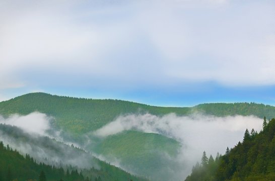 Fototapeta Beautiful landscape of foggy mountains