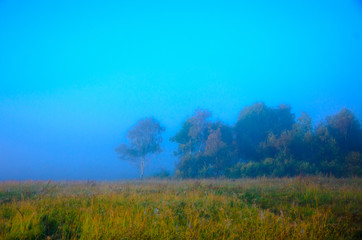 Obraz premium Morning fog