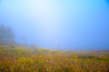 Obraz na płótnie Canvas Morning fog