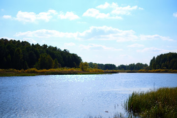 Obraz premium lake and wood
