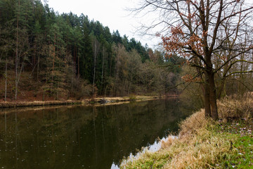 Fototapeta na wymiar Autumn Luznice river, South Bohemia. Czech Republic.