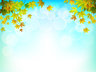 Obraz na płótnie Canvas Vector autumn leaves on a bright sunny background.