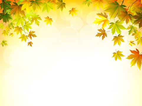 Vector autumn leaves on a bright sunny background.