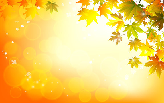 Vector autumn leaves on a bright sunny background.