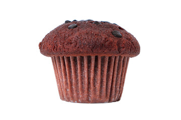 Muffin cup cake or cupcake one single chocolate choc chip flavor isolated on white background photo