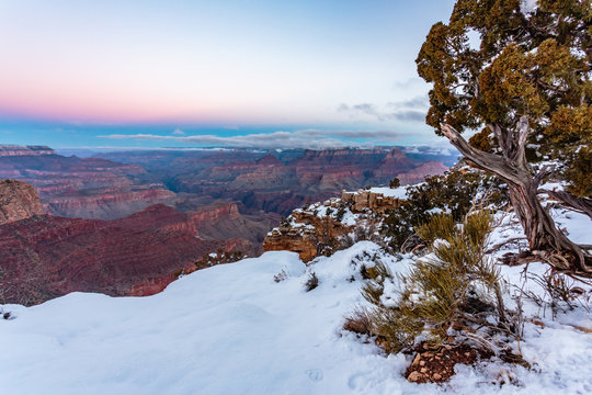 The Wintery Rim Of Moran Point Looks Out Over The Grand Canyon At Sunrise.