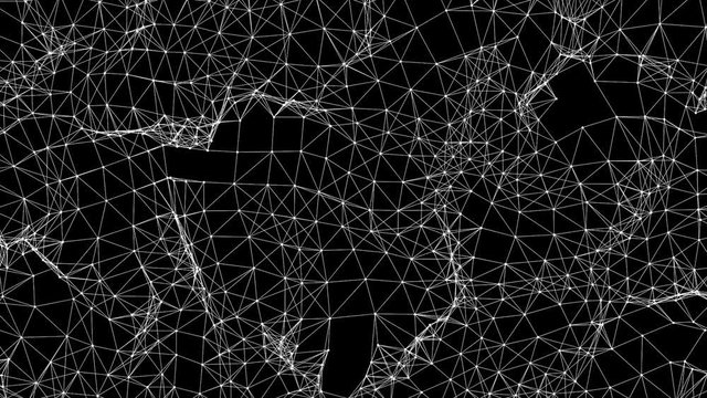 Fractal 2010: Futuristic wireframe mesh undulation (Loop).
