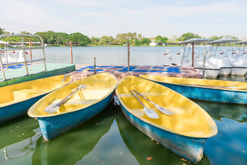 Fototapeta na wymiar Close up Ducks,swan pedal boat floating on the lake against blue sky. Suang Luang RAMA IX public garden, Bangkok ,Thailand .Selective focus