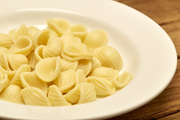 Pasta shell  in White Plate on wooden