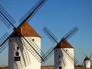 Don Quijote de Cervantes. Mota del Cuervo, Cuenca, en la comunidad autónoma de CastillaLa Mancha